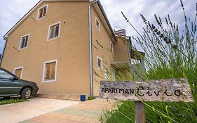 Apartment Livia